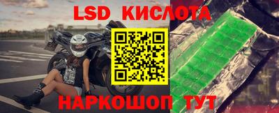 сатива Будённовск