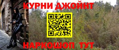 сатива Будённовск
