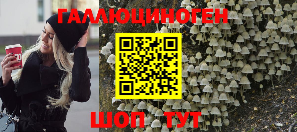 Псилоцибиновые грибы ЛСД  закладка  Подольск  Вход с VPN 