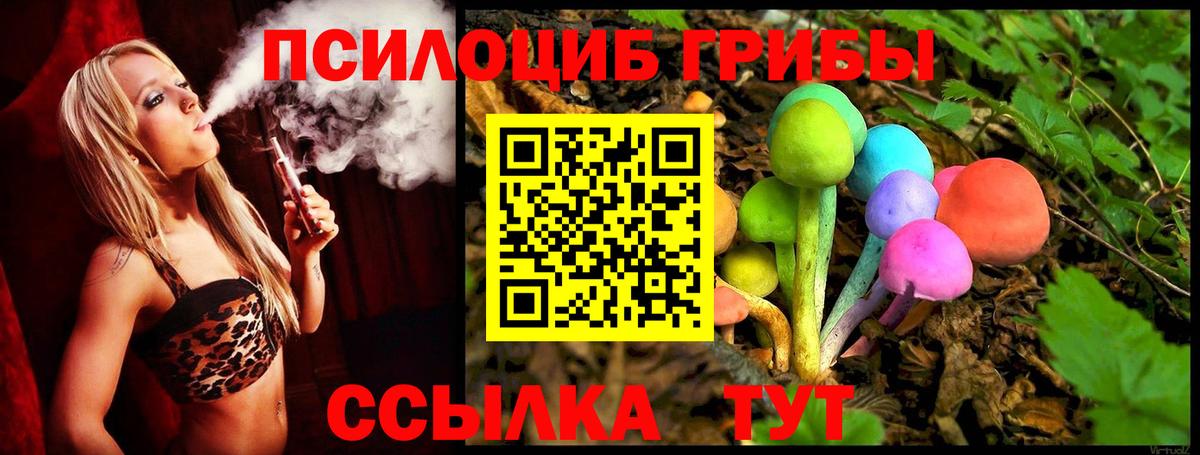 Псилоцибиновые грибы мухоморы Подольск